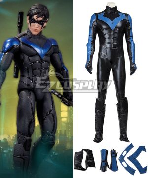 DC Batman Arkham City Nightwing Cosplay