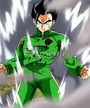 Super Son Gohan Train Cosplay