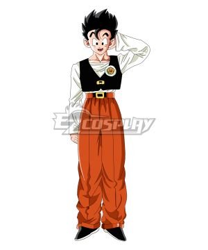 Dragon Ball Son Gohan School Cosplay Costume