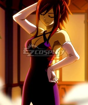 Fairy Tail Erza Scarlet casino Cosplay Costume