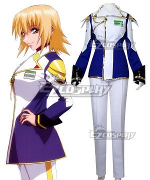 Mobile Suit Gundam Costumes