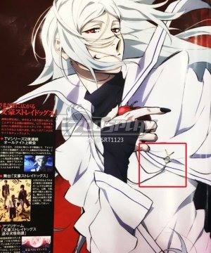 Bungou Stray Dogs Accessory Props