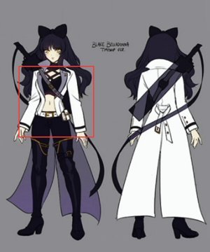 Volume 4 Blake Belladonna Cosplay  - Only the Coat