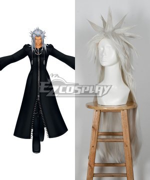 Organization XIII Xemnas Cosplay