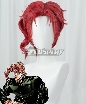 JoJos Bizarre Adventure Noriaki Kakyoin Rose red Cosplay