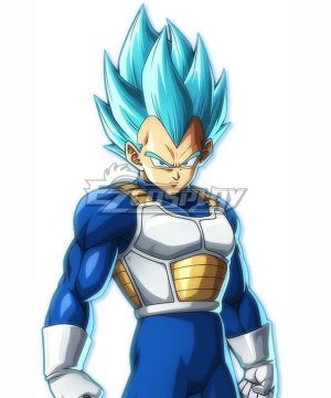 Vegeta SSGSS Blue Cosplay