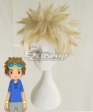 Digimon Tamers Wigs