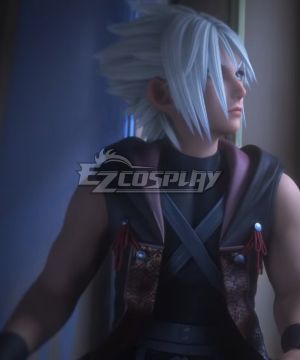 Young Xehanort Silver Cosplay